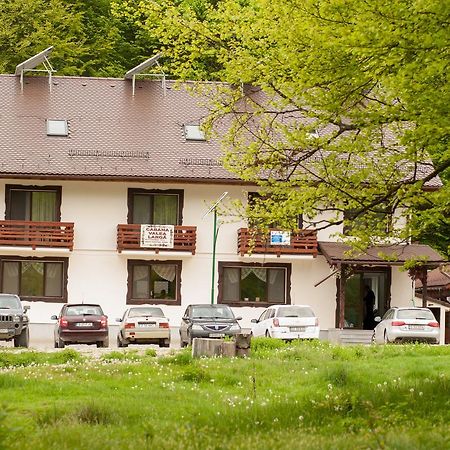 Cabana Barlogul Lupilor Villa Berevoesti Luaran gambar