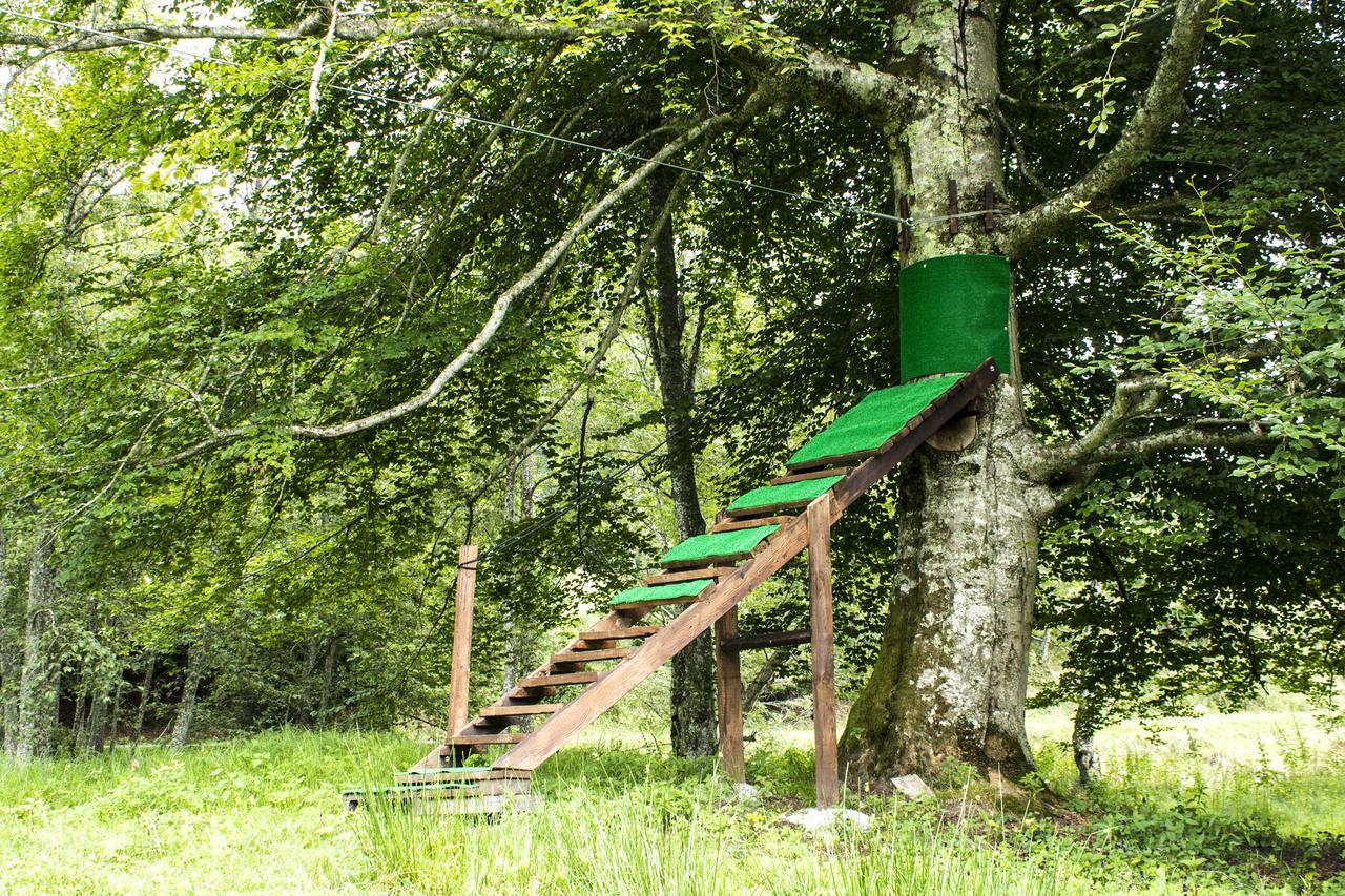 Cabana Barlogul Lupilor Villa Berevoesti Luaran gambar
