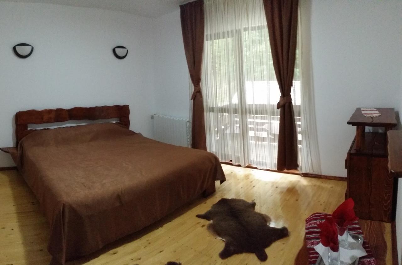 Cabana Barlogul Lupilor Villa Berevoesti Bilik gambar