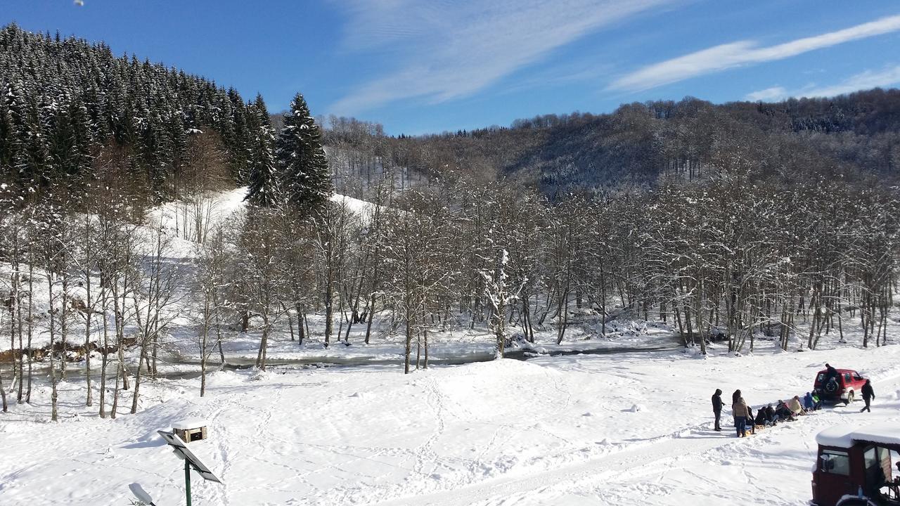 Cabana Barlogul Lupilor Villa Berevoesti Luaran gambar