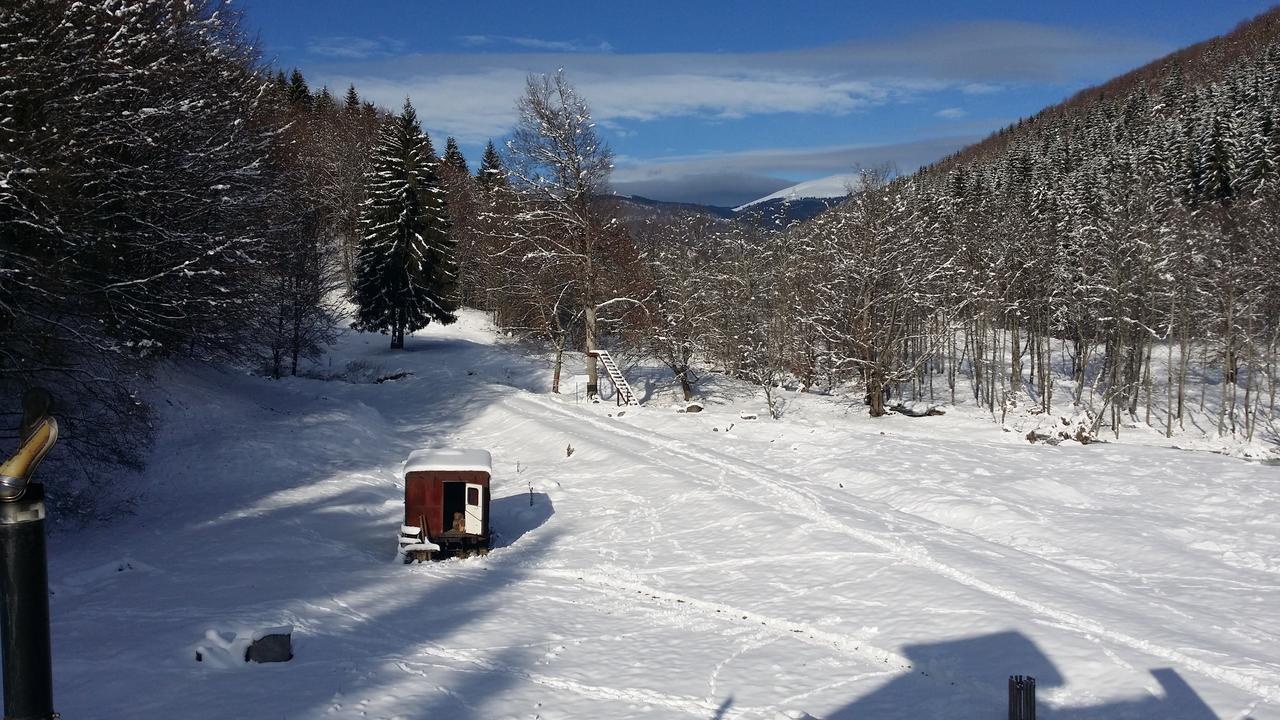 Cabana Barlogul Lupilor Villa Berevoesti Luaran gambar