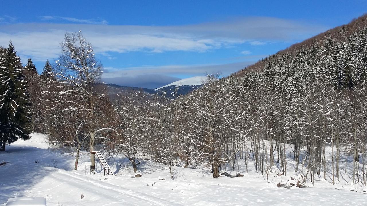Cabana Barlogul Lupilor Villa Berevoesti Luaran gambar