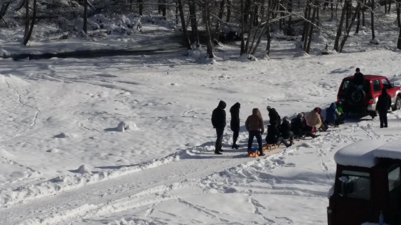 Cabana Barlogul Lupilor Villa Berevoesti Luaran gambar