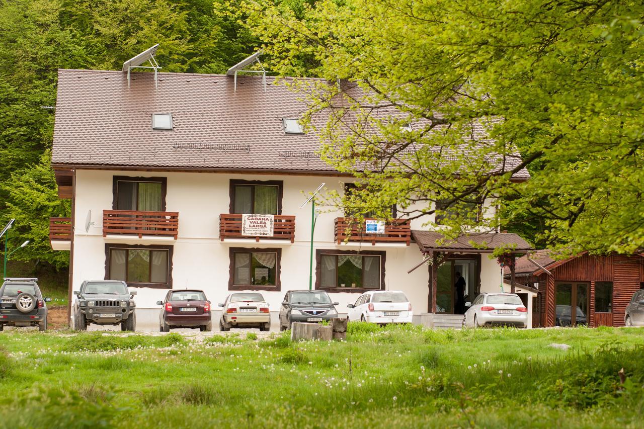 Cabana Barlogul Lupilor Villa Berevoesti Luaran gambar